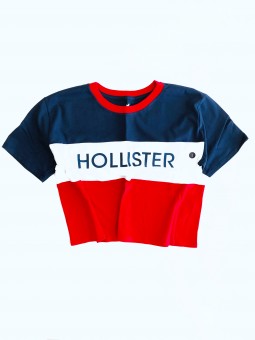 Hollister Logo Multicolor...